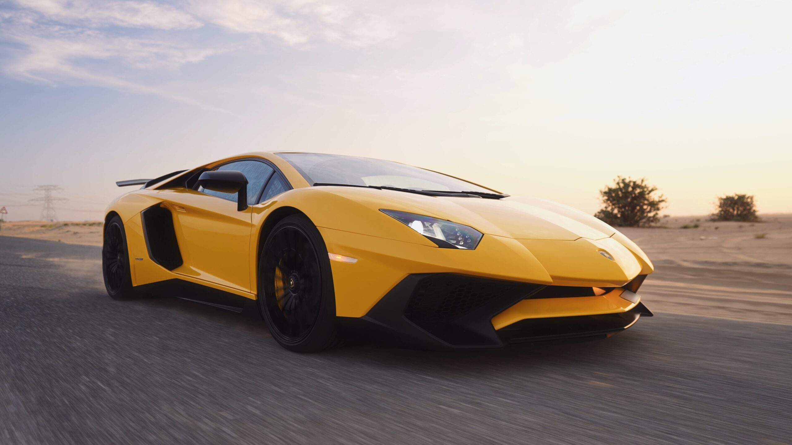 Portfolio Video Thumbnail