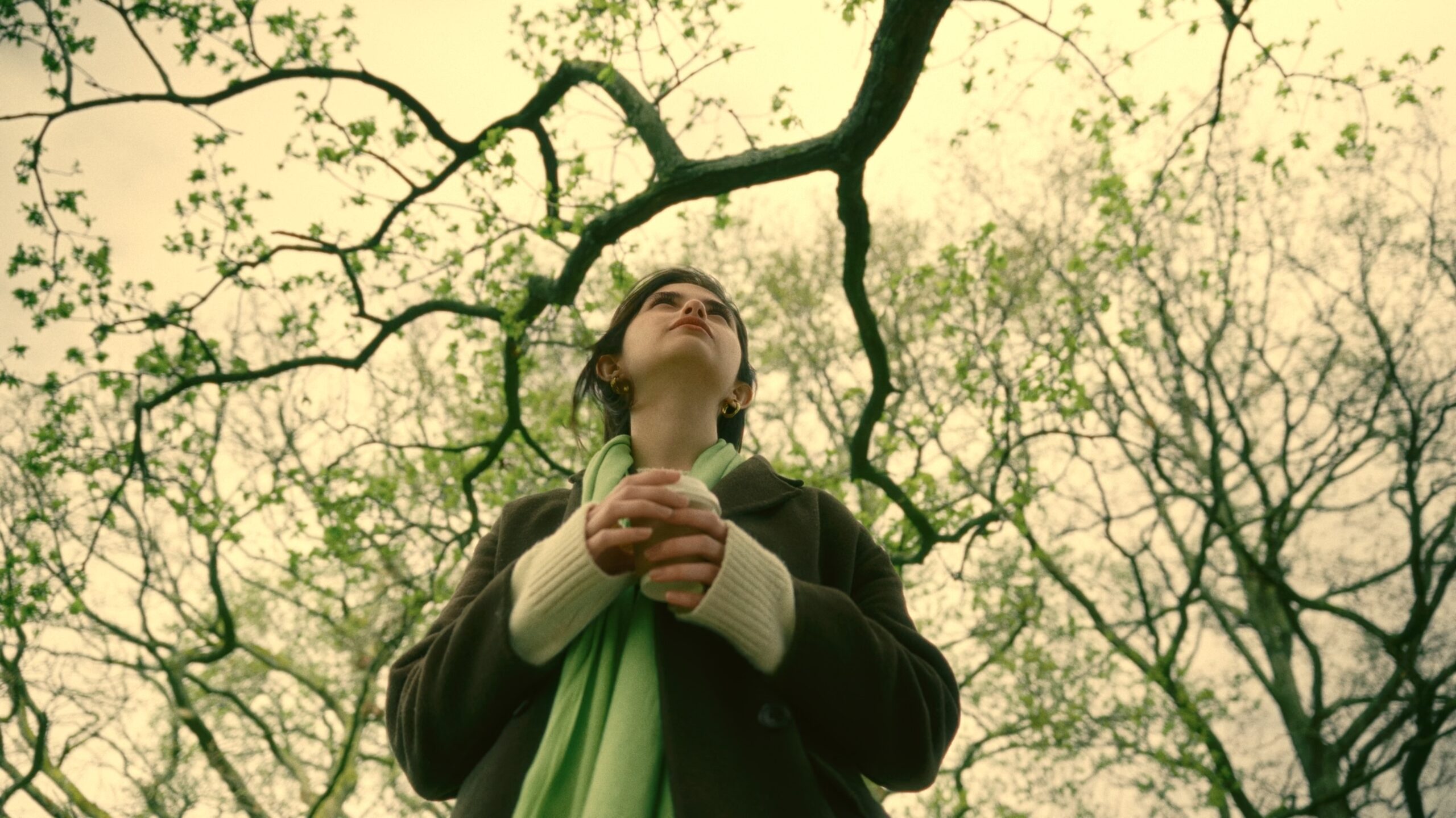 Portfolio Video Thumbnail